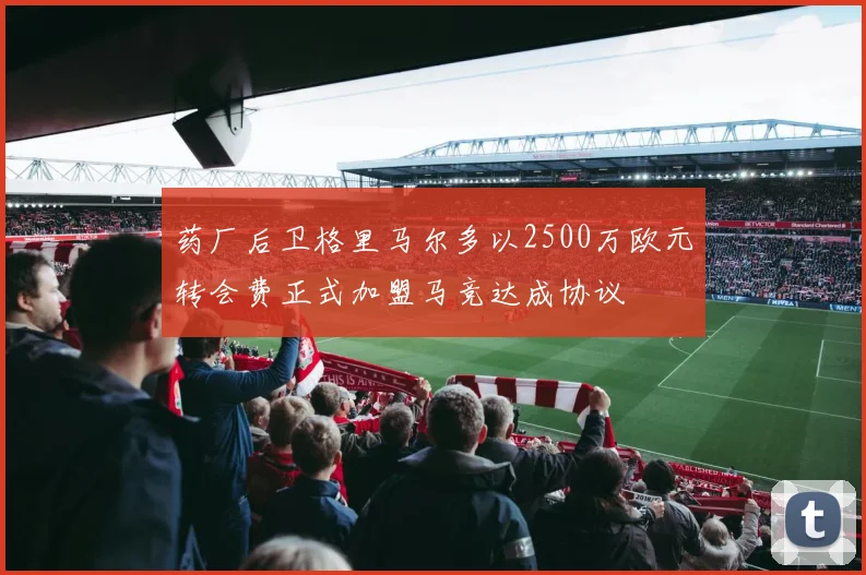药厂后卫格里马尔多以2500万欧元转会费正式加盟马竞达成协议